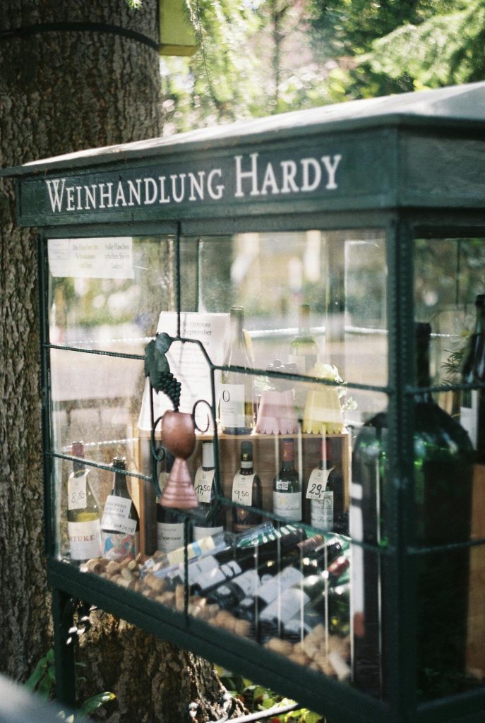 An inviting wine shop display showcasing a variety of bottles and wine accessories.