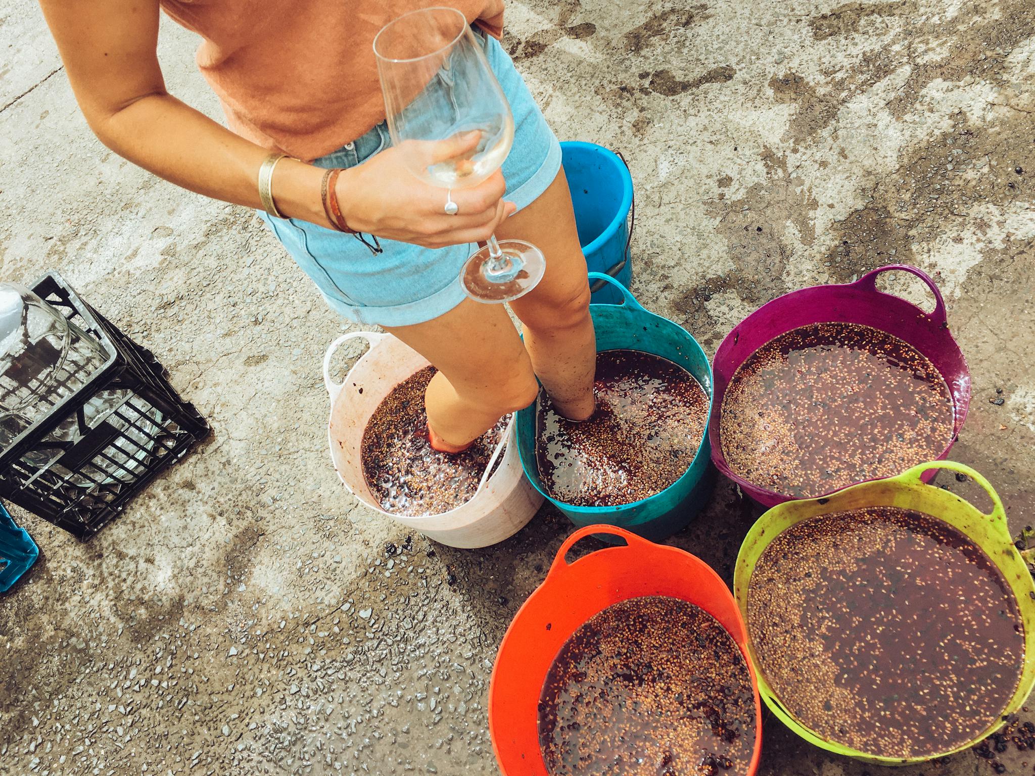 Person stomping grapes in buckets for winemaking, holding an empty wine glass.